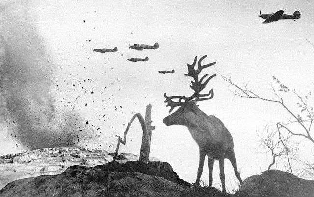 Military Planes Flying Above Reindeer